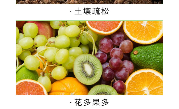 海藻+甲殼素-生根彩果-易普豐