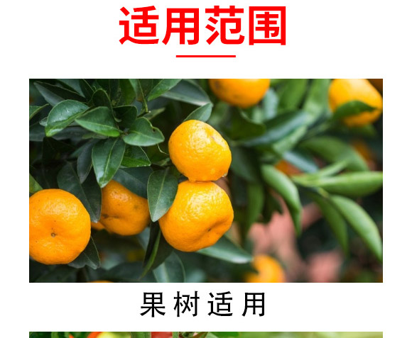 大量元素水溶肥-海法k-艾米-海法國(guó)際 大量元素水溶肥-海法k-艾米-海法國(guó)際