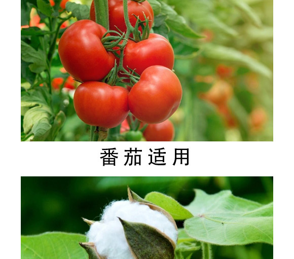 大量元素水溶肥-海法k-艾米-海法國(guó)際 大量元素水溶肥-海法k-艾米-海法國(guó)際