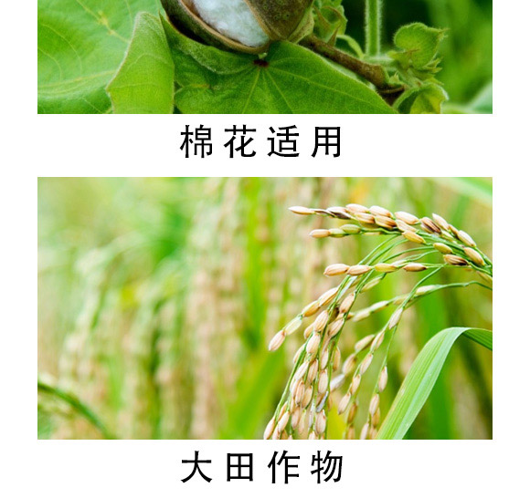 大量元素水溶肥-海法k-艾米-海法國(guó)際 大量元素水溶肥-海法k-艾米-海法國(guó)際