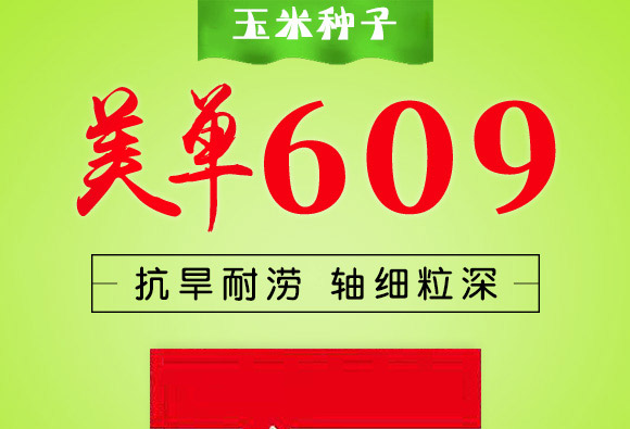 美單609-玉米(雜交)種子-中科正高 美單609-玉米(雜交)種子-中科正高
