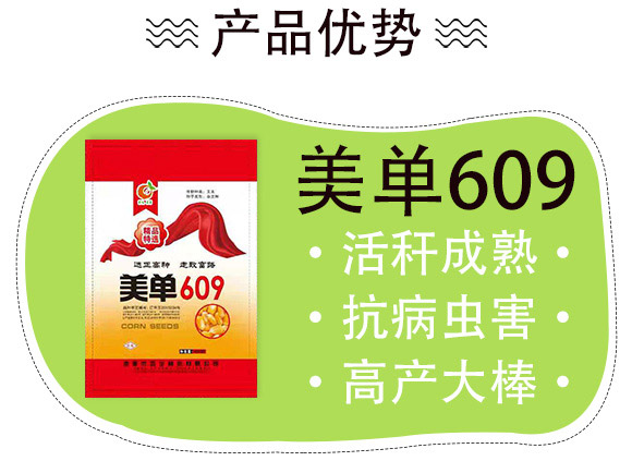 美單609-玉米(雜交)種子-中科正高 美單609-玉米(雜交)種子-中科正高