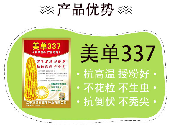 ����337-���׷N��-�п�����