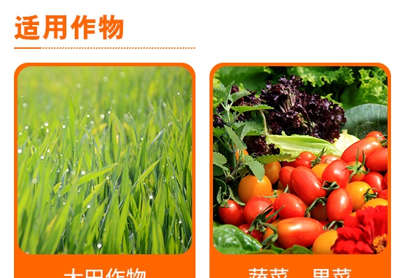 33%߻�x��������ˮ�鄩-�A����(zh��n)��-��Ʒ����