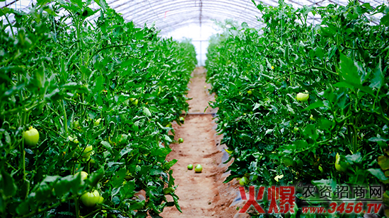 ɽ���G���@�r(n��ng)�I(y��)�_�l(f��)����؟(z��)�ι�˾