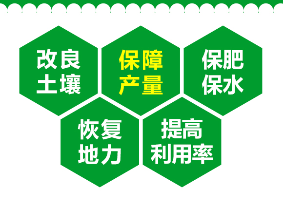 生物有機肥-果蔬8+2-先豐達 生物有機肥-果蔬8+2-先豐達