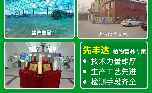 生物有機肥-果蔬8+2-先豐達 生物有機肥-果蔬8+2-先豐達