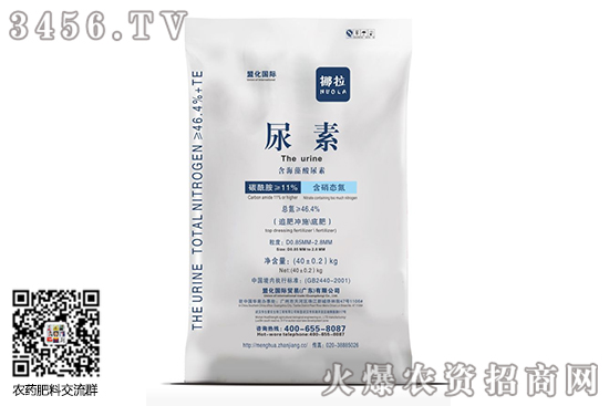 �����Ј����m(x��)�q����2020-8-5�������؃r(ji��)�������Ո�(b��o)