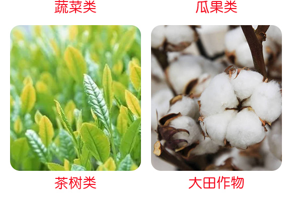 鍣昏櫕鍡拷鏂借嵂鑲05.jpg 鍣昏櫕鍡拷鏂借嵂鑲05.jpg