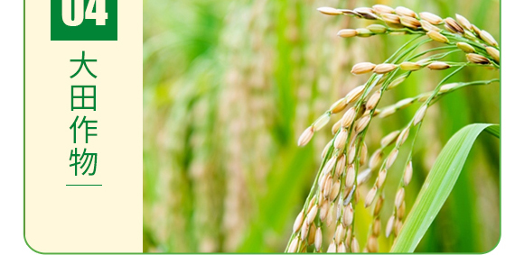 ��(f��)���Ǵ��}-�~�����a(b��)-�°��~��