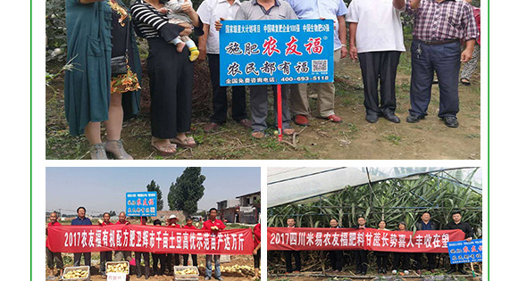 摻混肥料-農(nóng)友福