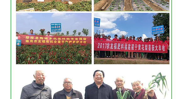 摻混肥料-農(nóng)友福