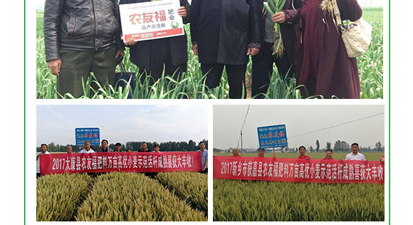 摻混肥料-農(nóng)友福