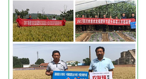 摻混肥料-農(nóng)友福