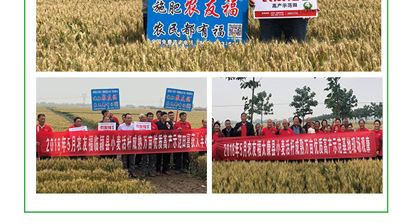 摻混肥料-農(nóng)友福