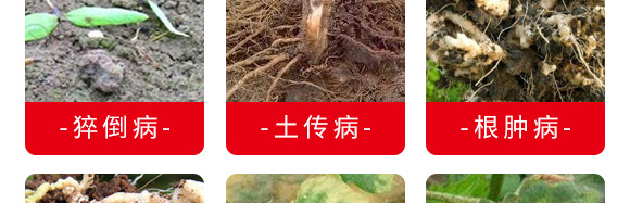 ΢�����������(zhu��n)ע���θ���������-������-�_���r(n��ng)�I(y��)