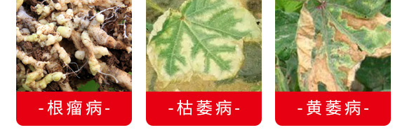 ΢�����������(zhu��n)ע���θ���������-������-�_���r(n��ng)�I(y��)