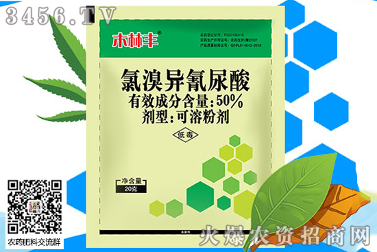 ���宐����������ʲô��