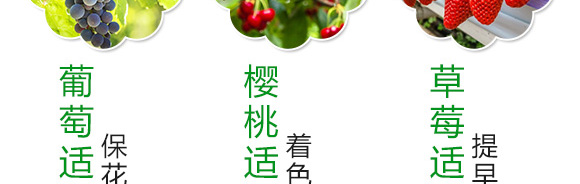 �����΢�������-��ķ��-��ķ˹��