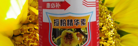 �ڷ۾��A��-�����a-���ؿ�