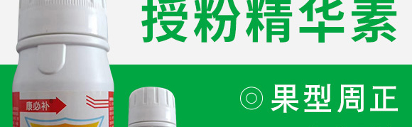 �ڷ۾��A��-�����a-���ؿ�