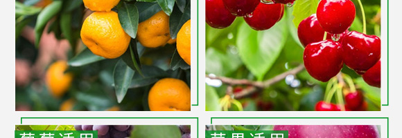 �ڷ۾��A��-�����a-���ؿ�