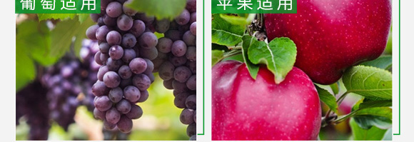 �ڷ۾��A��-�����a-���ؿ�