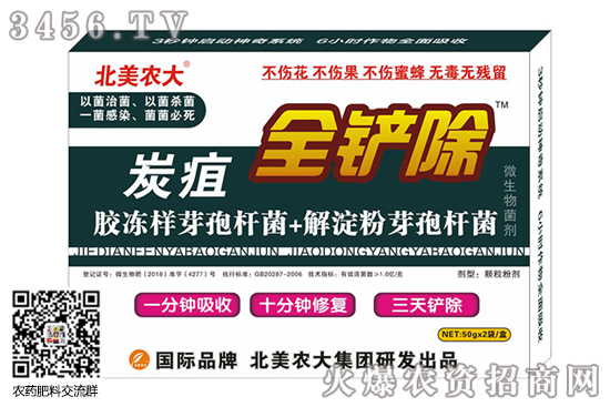 核桃炭疽病打什么藥 用什么藥有效 核桃炭疽病打什么藥 用什么藥有效