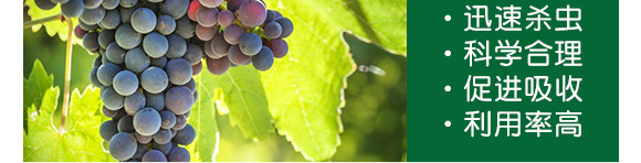 ʭ����-��Ʒ����