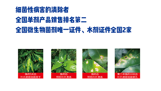 熒光假單細(xì)胞-細(xì)靈靈可卡素-農(nóng)墾