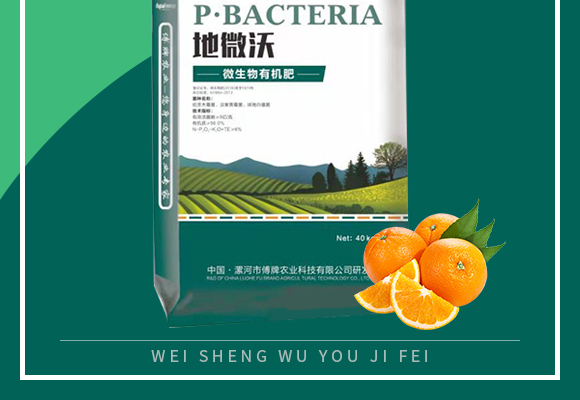 寰敓鐗╂湁鏈鴻偉-鍦板井娌僟02.jpg 寰敓鐗╂湁鏈鴻偉-鍦板井娌僟02.jpg