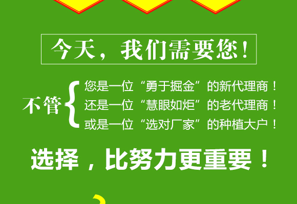 鏈夋満鑲ユ枡-鍗冭弻婧?鏅垱鍖栬偉_12.jpg 鏈夋満鑲ユ枡-鍗冭弻婧?鏅垱鍖栬偉_12.jpg