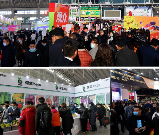 逆勢啟航|第26屆哈爾濱種業(yè)博覽會(huì)圓滿落幕 逆勢啟航|第26屆哈爾濱種業(yè)博覽會(huì)圓滿落幕