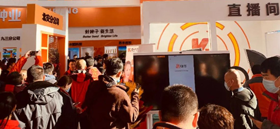 逆勢啟航|第26屆哈爾濱種業(yè)博覽會(huì)圓滿落幕 逆勢啟航|第26屆哈爾濱種業(yè)博覽會(huì)圓滿落幕