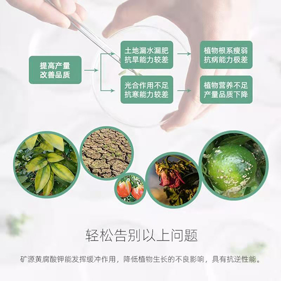 礦源黃腐酸鉀-華臻農(nóng)業(yè)