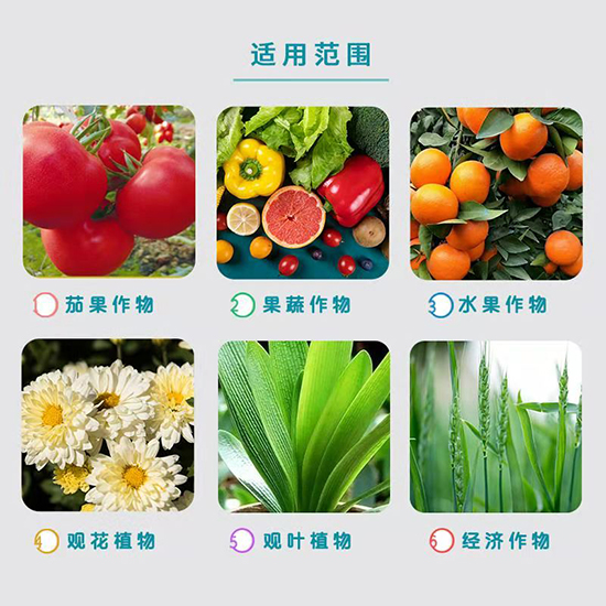 礦源黃腐酸鉀-華臻農(nóng)業(yè)