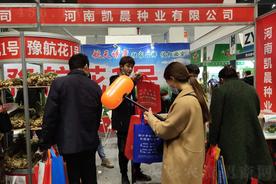 ���τP���N�I(y��)���޹�˾