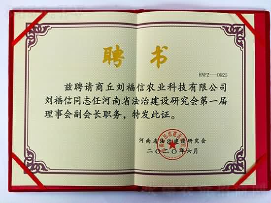 ���Ϲ��I(y��)���F(tu��n)��˾