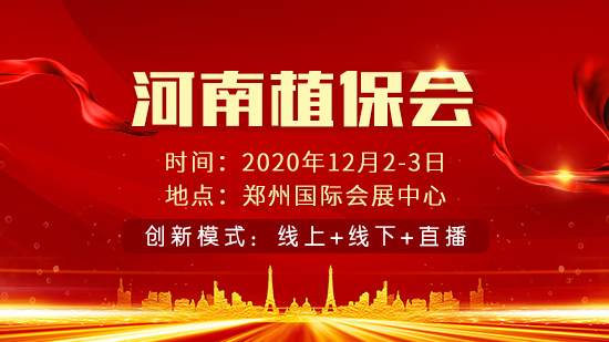 12.2-3ֲ���ИI(y��)ʢ��(hu��) | ��һ�ӵ�չʾ����һ�ӵ�չ��(hu��)