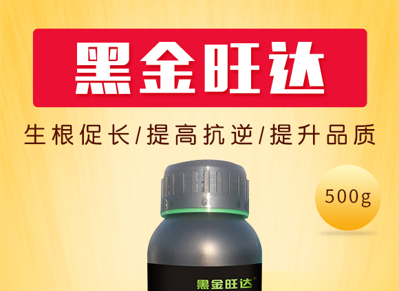 娌沖崡澶嶅疂浣滅墿淇濇姢鏈夐檺鍏徃13_01.jpg 娌沖崡澶嶅疂浣滅墿淇濇姢鏈夐檺鍏徃13_01.jpg