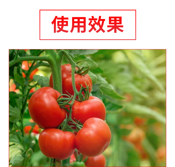 娌沖崡澶嶅疂浣滅墿淇濇姢鏈夐檺鍏徃13_04.jpg 娌沖崡澶嶅疂浣滅墿淇濇姢鏈夐檺鍏徃13_04.jpg