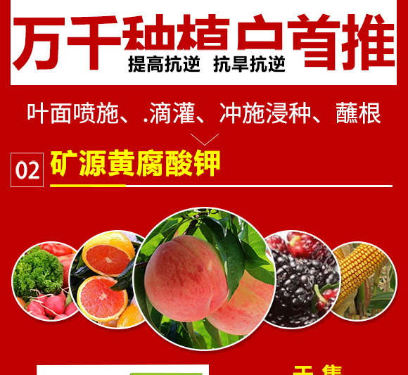 娌沖崡縐戣彶濮嗙敓鐗╃鎶€鏈夐檺鍏徃2_06.jpg 娌沖崡縐戣彶濮嗙敓鐗╃鎶€鏈夐檺鍏徃2_06.jpg