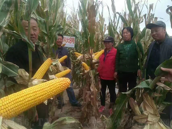 ��о�r(n��ng)�ƴ�8̖���׷N��-�ػ��w��-�Ё��r(n��ng)�I(y��)