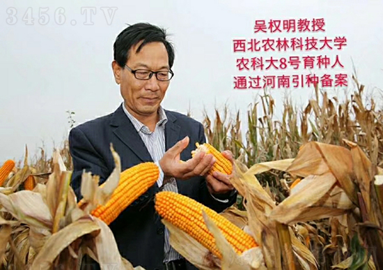 ��о�r(n��ng)�ƴ�8̖���׷N��-�ػ��w��-�Ё��r(n��ng)�I(y��)