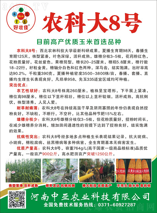 紅軸農(nóng)科大8號玉米種子-敦煌飛天-中亞農(nóng)業(yè) 紅軸農(nóng)科大8號玉米種子-敦煌飛天-中亞農(nóng)業(yè)