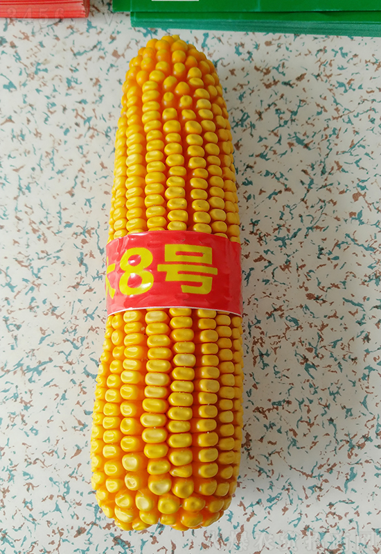 紅軸農(nóng)科大8號玉米種子-敦煌飛天-中亞農(nóng)業(yè) 紅軸農(nóng)科大8號玉米種子-敦煌飛天-中亞農(nóng)業(yè)