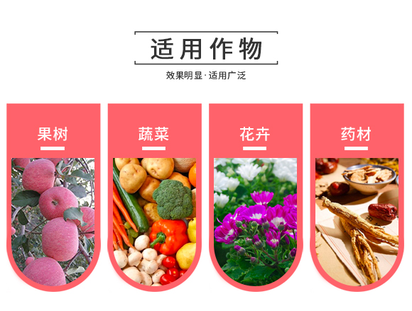 澶氭晥铻悎鑲ユ枡-鑲ュ痙椴乢05.jpg 澶氭晥铻悎鑲ユ枡-鑲ュ痙椴乢05.jpg