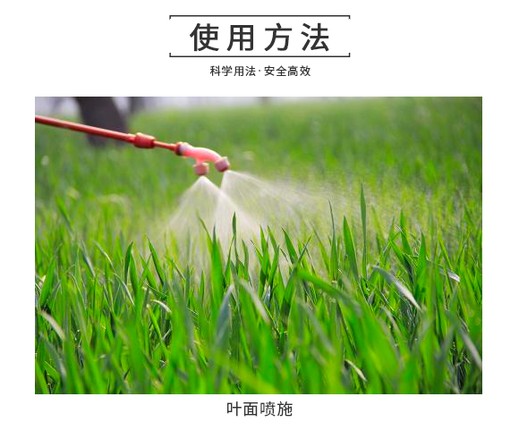 澶氭晥铻悎鑲ユ枡-鑲ュ痙椴乢06.jpg 澶氭晥铻悎鑲ユ枡-鑲ュ痙椴乢06.jpg