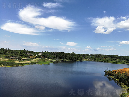 �Ĵ����A�߿ƷN�I(y��)����؟�ι�˾