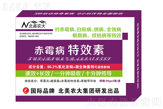 С����ù����ʲôˎ������